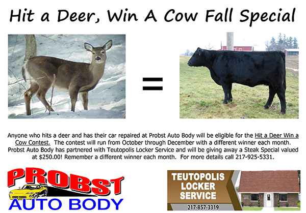 Probst Auto Body Hit A Deer, Win A Cow Fall Special