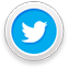 Twitter badge